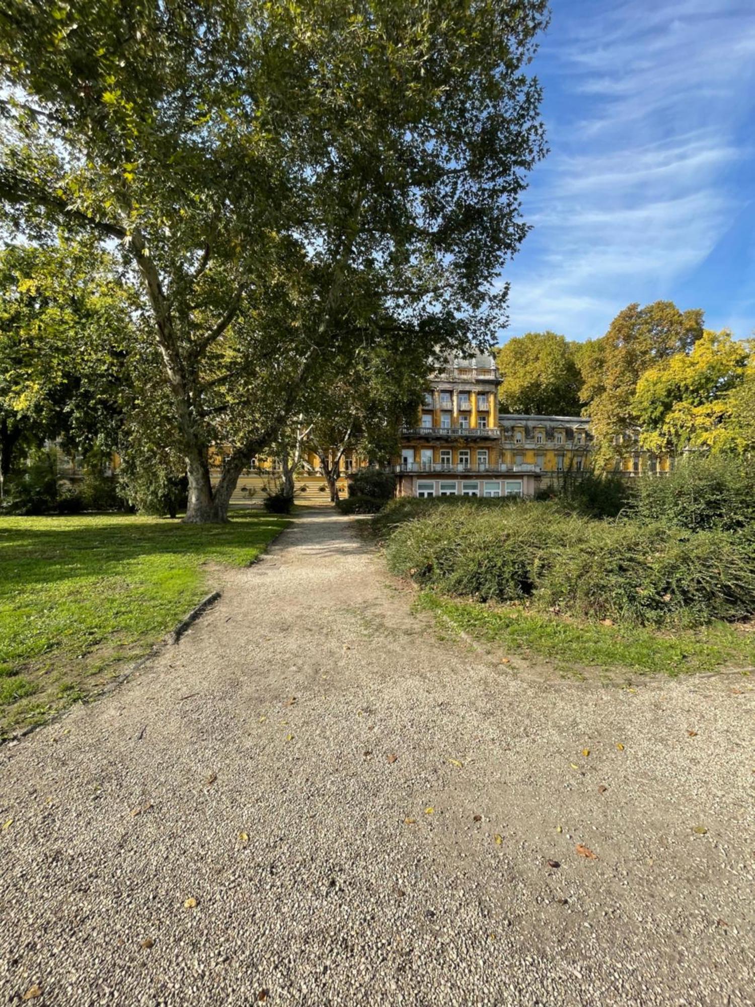 Margaret Apartment Next To The Lukacs Spa With Panorama Danube Budapeste Exterior foto